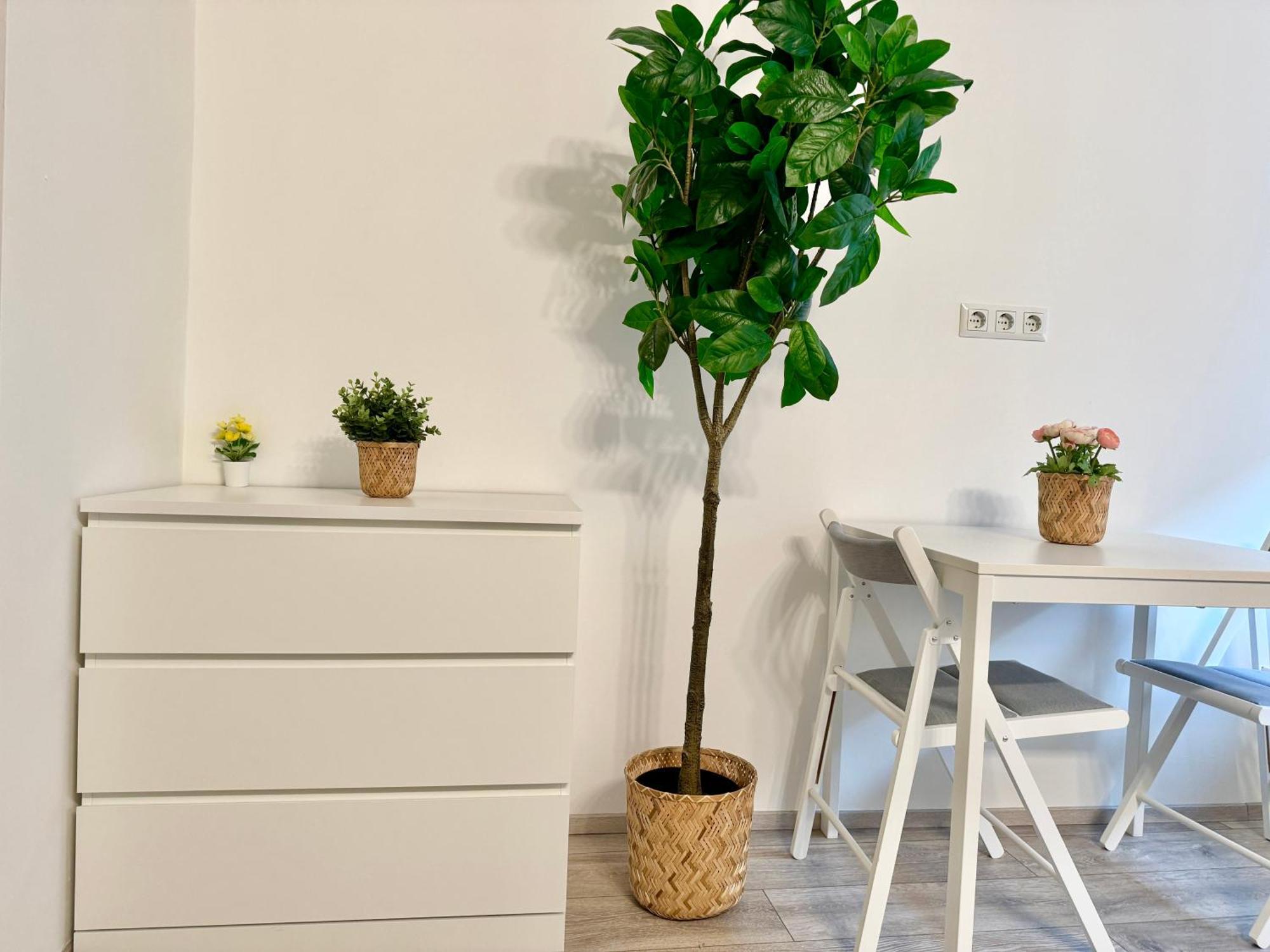 Stylish Schoenbrunn Apartments With Free Parking Vienna Exterior photo