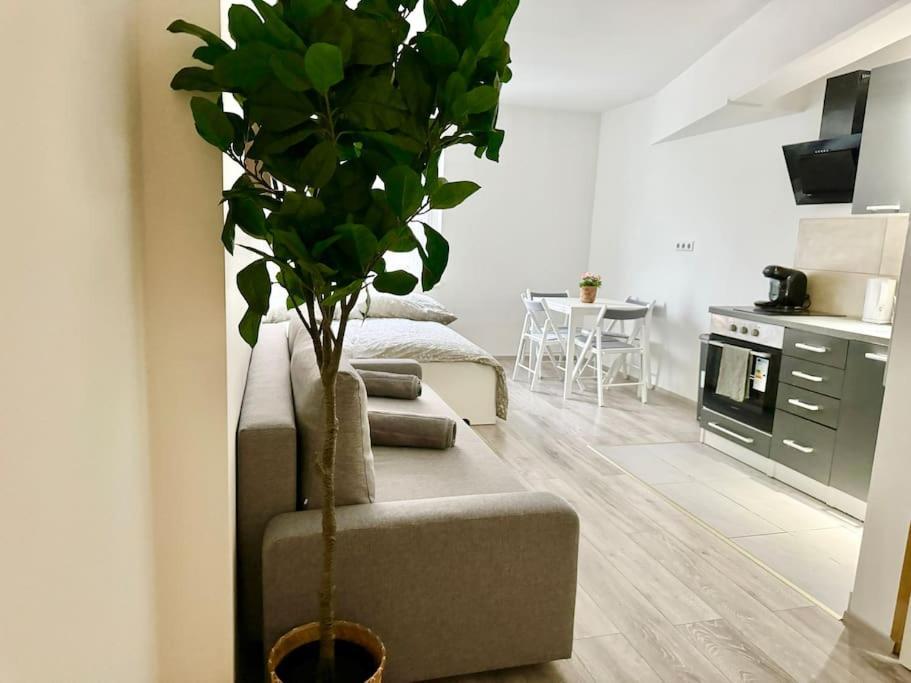 Stylish Schoenbrunn Apartments With Free Parking Vienna Exterior photo